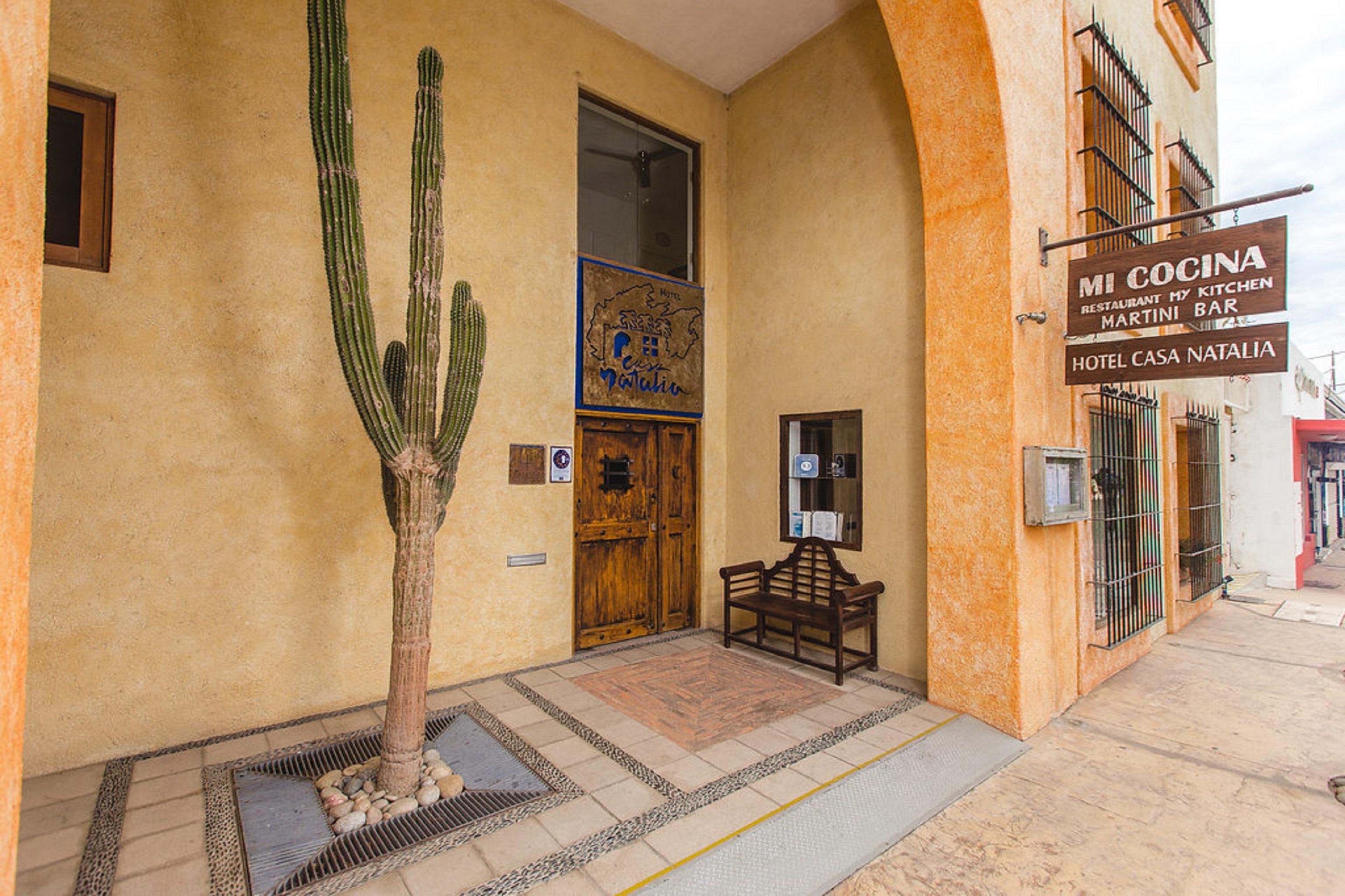 Casa Natalia Boutique Hotel Adults Only Сан-Хосе-дель-Кабо Екстер'єр фото