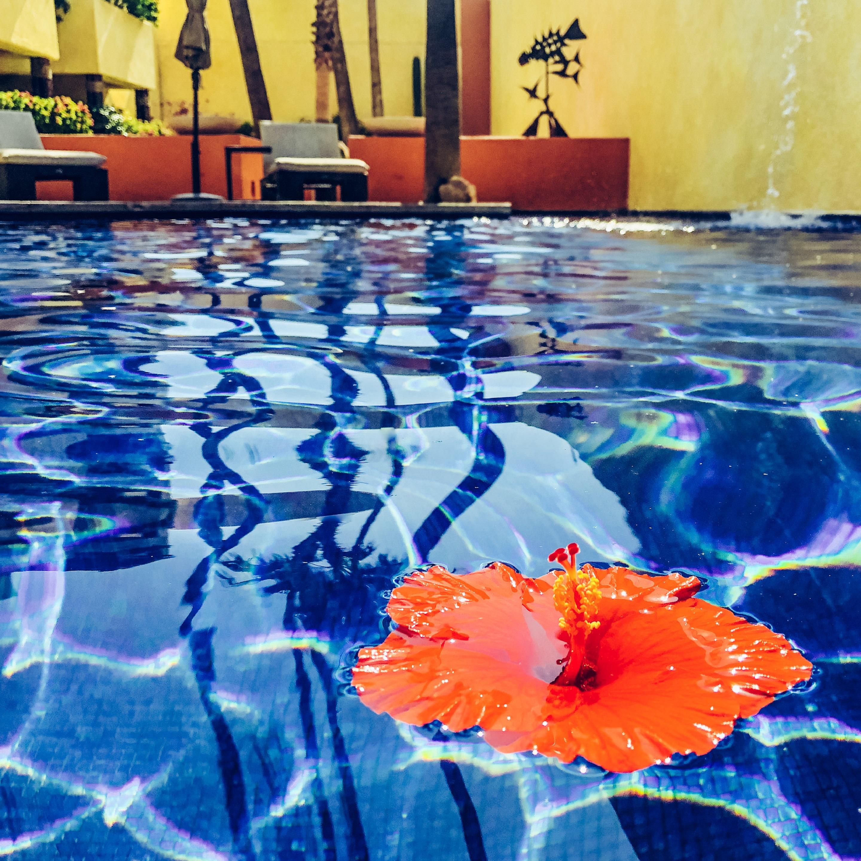 Casa Natalia Boutique Hotel Adults Only Сан-Хосе-дель-Кабо Екстер'єр фото